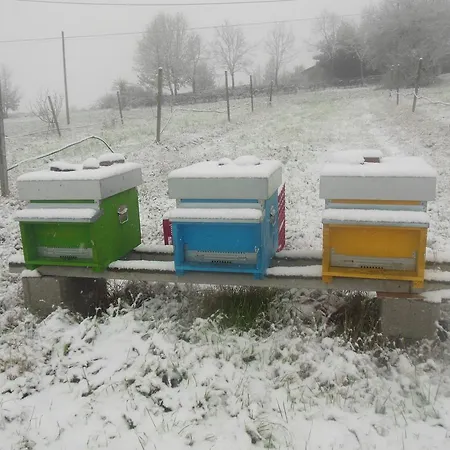 Il Casale Del Sapere E Del Sapore Bauernhof